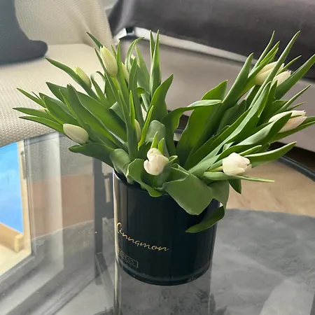 Lejlighed Eve Witawa