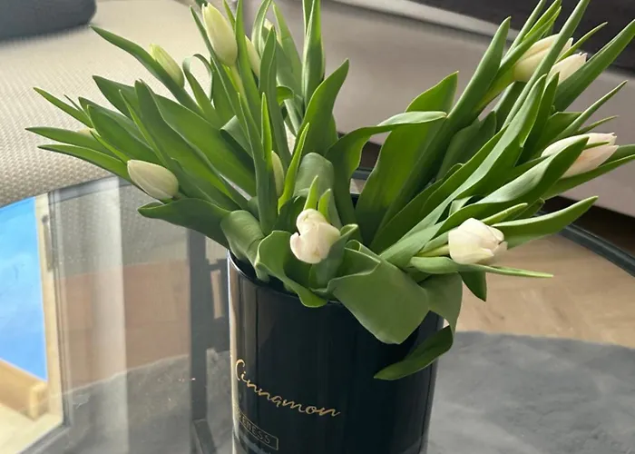 Apartamento Eve Witawa